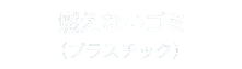 燃えないゴミ(プラスチック)