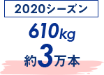 2020赛季