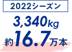 2022赛季